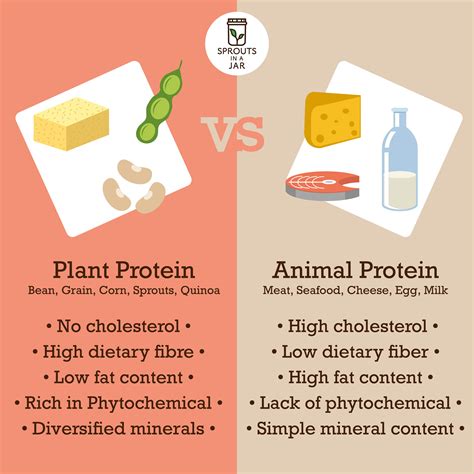 ANIMAL AND PLANT PROTEIN RESOURCES docx