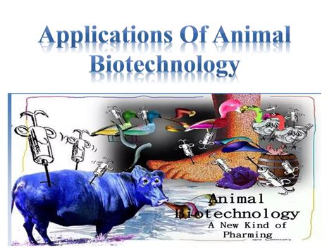 Animal Biotechnology | NIFA - muktibox.com