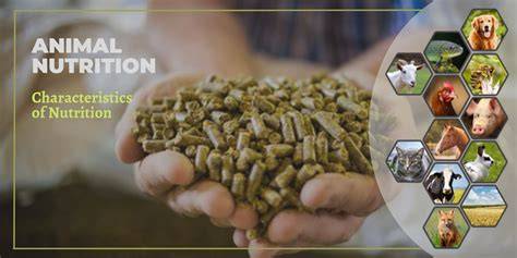 Animal Nutrition Calculate feed recipes - raincitystudios.com