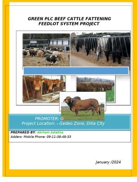 Animal Production and Feedlot Cattle Fattening Manual - raincitystudios.com