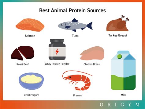 Animal Protein - Rabobank - wintechmobiles.com