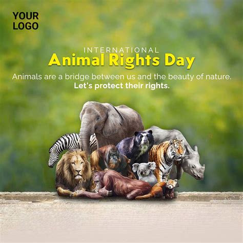 Animal Rights - Center for Great Apes - raincitystudios.com