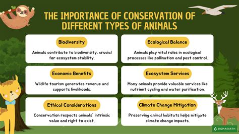 Animal Species and Their Ecological Importance - raincitystudios.com