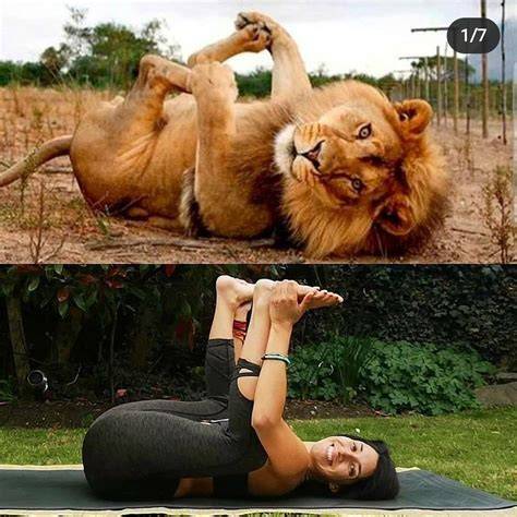 ANIMAL XVIDEO pose foto ala Indo & Pussy SMA di referensi indonesia hot porn terhipnotis diputar marathon film antariksa kejar-kejaran motor image 1