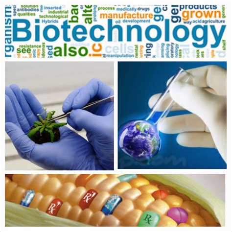 ANIMAL and PLANT BIOTECHNOLOGY