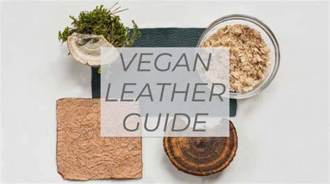 Animal-Based Sustainable Leather Alternatives For … - raincitystudios.com