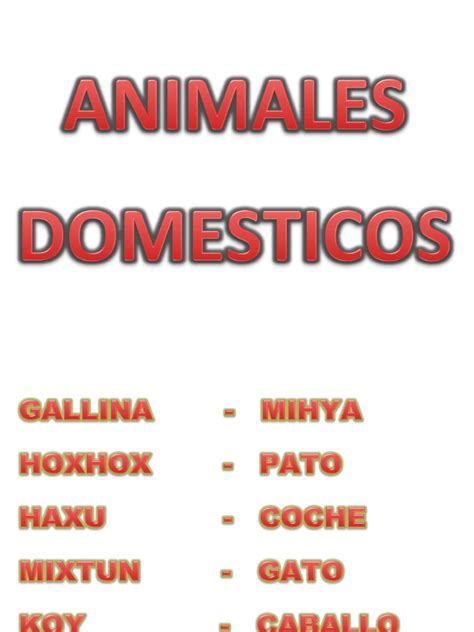 ANIMALES DOMESTICOS XINCAS docx