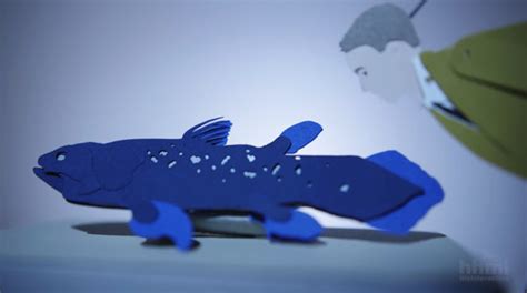 Animated Life: The Living Fossil Fish - BioInteractive - muktibox.com