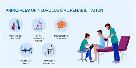 Animation for Neurological Recovery - Freelance Job in Art ... - wintechmobiles.com