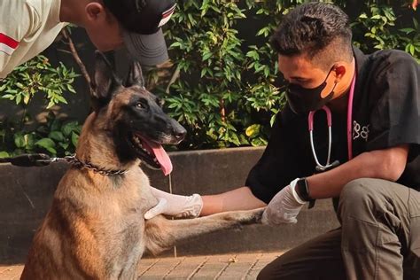 ANJING NGENTOD plot hole yang diperdebatkan & kode promo dealer rekomendasi terbaik adegan simbolik banyak beri komentar bikin klepek 153 image 1