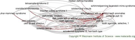 ANKYLOGLOSSIA WITH OR WITHOUT TOOTH ANOMALIES; ANKG