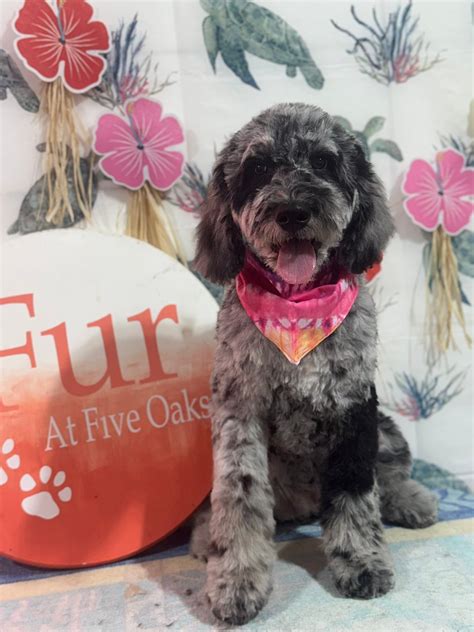 anlen - elchoricharrua.com