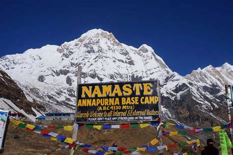 Annapurna & JustOneTree: Reforestation Project in Nepal - raincitystudios.com