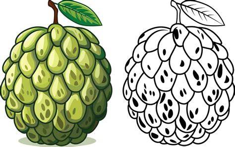 Annona Fruit Of The Custard PPT template 97 | CrystalGraphics - raincitystudios.com