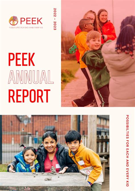 ANNUAL REPORT - Peek Vision