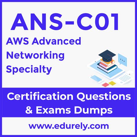 ANS-C01 Dumps