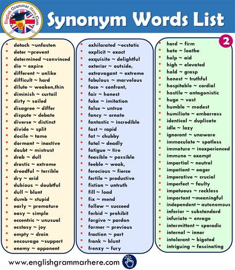 ANSCHLUSS Synonyms: 50 Synonyms & Antonyms for …