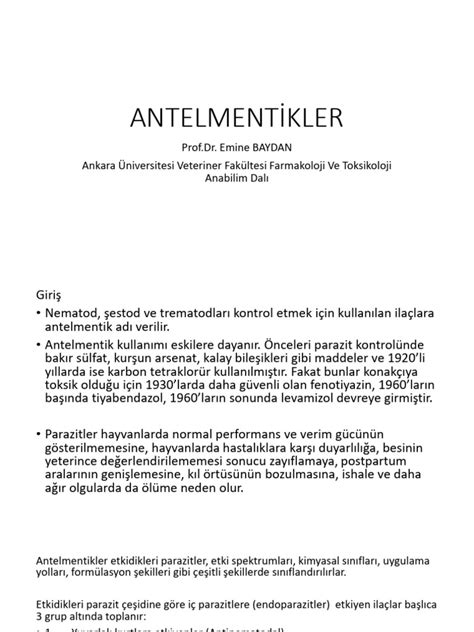 codini.rgarabwor.edu.pl. 