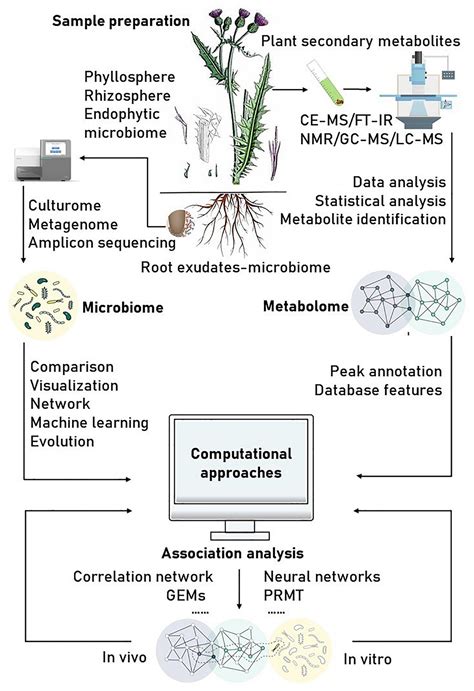 ANTIMICROBIAL ACTIVITY OF SECONDARY METABOLITES FROM PLANTS A REVIEW