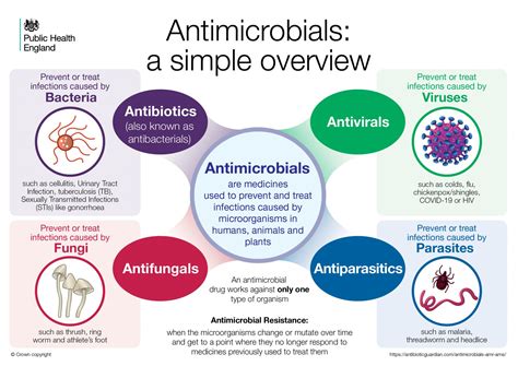 ANTIMICROBIAL AGENTS AND