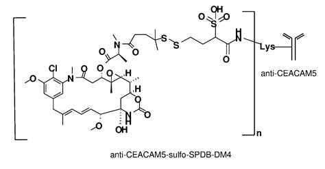 ANTITUMOR COMBINATIONS CONTAINING ANTI-CEACAM5 …