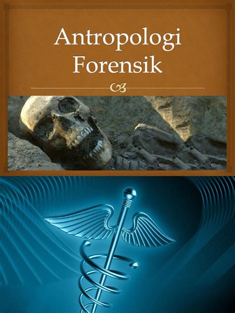Antropologi forensik - Wikiwand - wintechmobiles.com