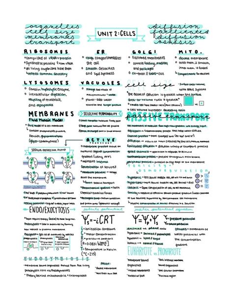 AP Bio Unit 2 Cell Structure and Function Cheat Sheet by