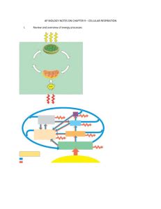 AP Biology Chapter 9 Learning Objectives