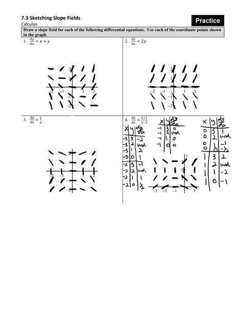 AP Calculus AB Slope Fields Practice 3 Worksheets Library