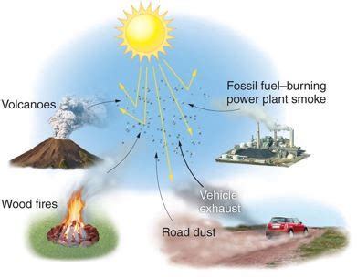 AP Enviro Chapter 15 Flashcards Quizlet