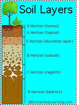 AP Environmental Science Unit 7 Flashcards Quizlet