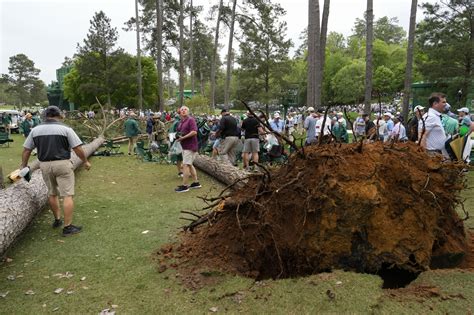AP PHOTOS: Masters crews make quick work of fallen pines