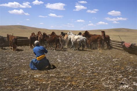 AP PHOTOS: Mongolia’s herders fight climate change with their own adaptability and new technology