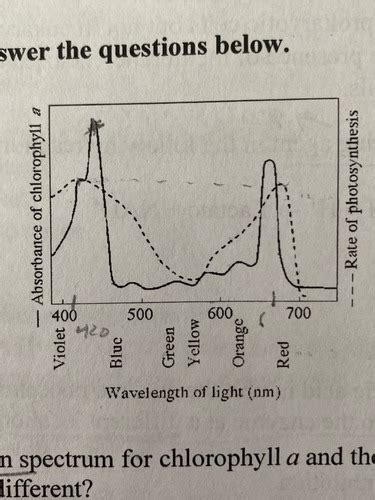 AP world ch 9 and 10 Flashcards | Quizlet - wintechmobiles.com
