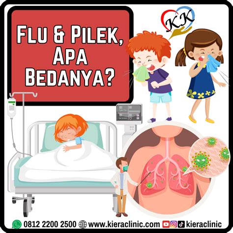 Apa Bedanya Pilek Dan Flu - muktibox.com