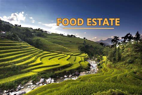 Apa Itu Food Estate: Program Strategis untuk … - raincitystudios.com