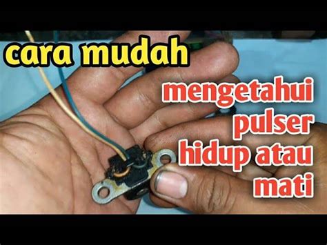 apa itu pulser - elchoricharrua.com