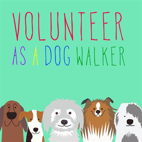 APA desperate for dog-walking volunteers