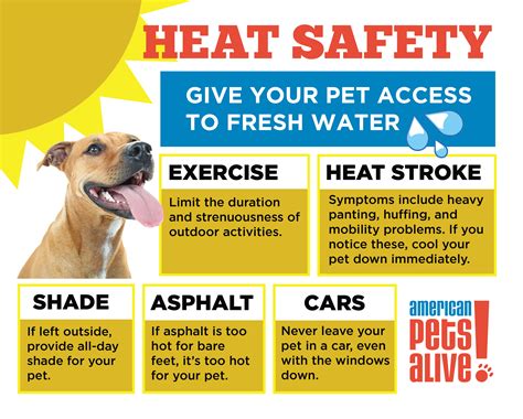 APA of Missouri warns of heat danger for pets