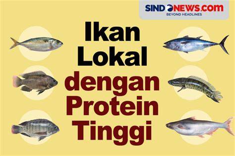 Apakah Ikan Banyak Protein - raincitystudios.com