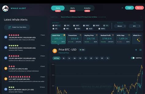 Apakah Whale Alerts Dapat Diandalkan ... - crypto-news - coolestguyplanet.net