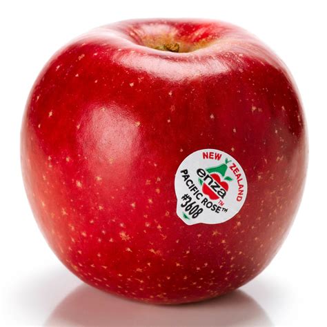 apel amerika - elchoricharrua.com