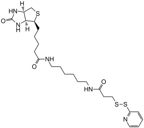 APExBIO - Biotin-HPDP Pyridyldithiol-biotin compound CAS