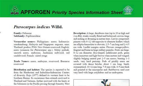 APFORGEN Priority Species Information Sheet Pterocarpus indicus - raincitystudios.com