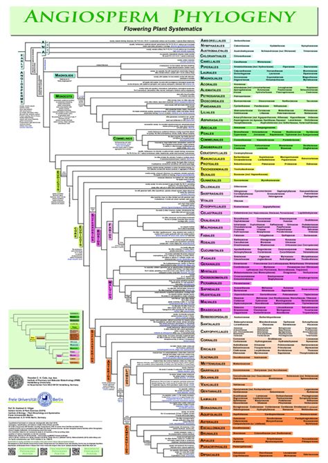 APG IV system - muktibox.com