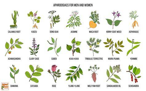 Aphrodisiac flowers and plants - Flora Queen - raincitystudios.com