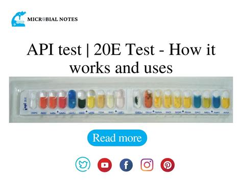API TEST