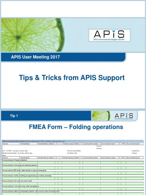 APIS Support Tips Tricks BT 2017