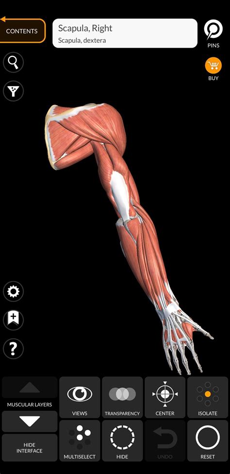 Aplikasi Anatomi 3D - Aplikasi di Google Play - muktibox.com