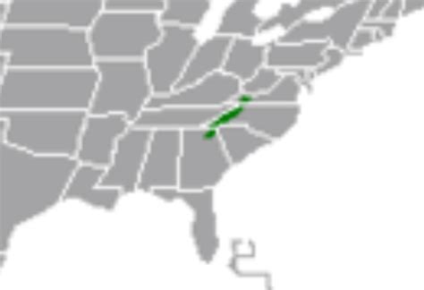 Appalachian Temperate Rainforest Map - wintechmobiles.com